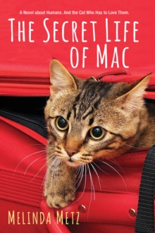Secret Life of Mac