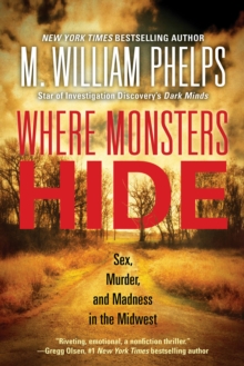 Image for Where monsters hide  : sex, murder, and madness in the Midwest
