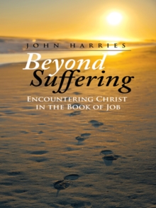 Image for Beyond suffering: encountering Christ in the book of Job