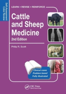 Image for Cattle and sheep medicine