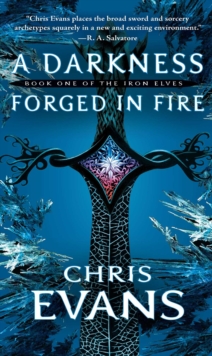 Image for A Darkness Forged in Fire : Book One of the Iron Elves