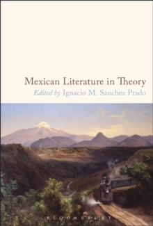 Image for Mexican literature in theory