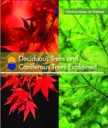Image for Deciduous Trees and Coniferous Trees Explained