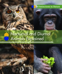 Image for Nocturnal and Diurnal Animals Explained