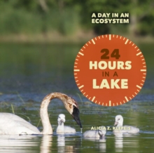 Image for 24 hours in a lake