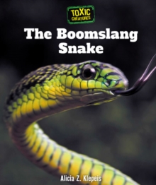 Image for The Boomslang snake
