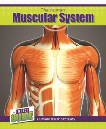 Image for The Human Muscular System