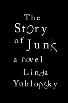 Image for The Story of Junk: A Novel