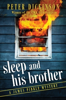 Image for Sleep and His Brother