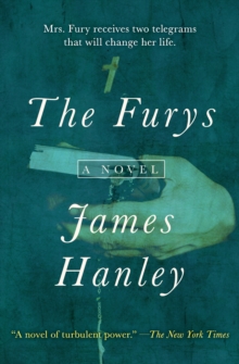 Image for The Furys: A Novel