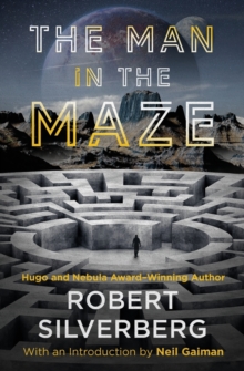 Image for The Man in the Maze