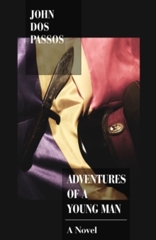 Image for Adventures of a young man: a novel