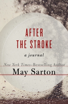 Image for After the Stroke: A Journal