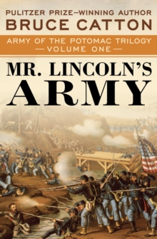 Image for Mr Lincoln's army