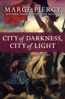 Image for City of Darkness, City of Light: A Novel