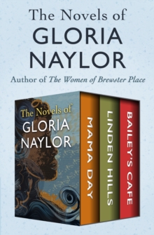 Image for The novels of Gloria Naylor