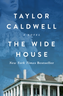 Image for The wide house: a novel