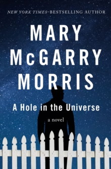 Image for A Hole in the Universe: A Novel