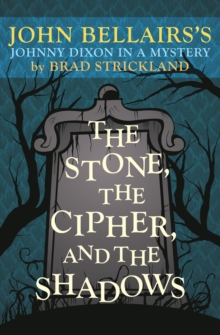 Image for The Stone, the Cipher, and the Shadows
