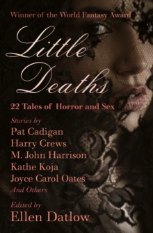 Image for Little Deaths: 22 Tales of Horror and Sex