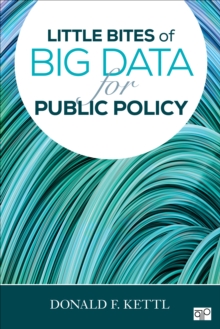 Image for Little bites of big data for public policy