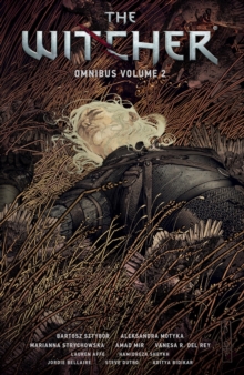 Image for The Witcher Omnibus Volume 2
