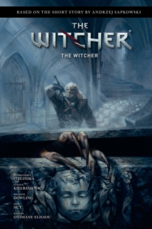 Image for Andrzej Sapkowski's The Witcher: The Witcher