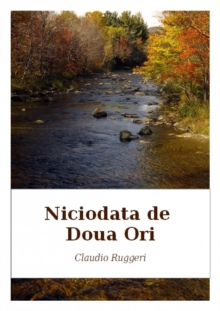 Image for Niciodata de Doua Ori