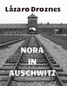 Image for Nora in Auschwitz