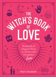 Image for The Witch's Book of Love