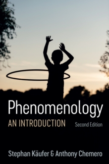 Phenomenology: An Introduction