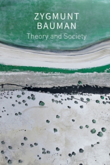 Image for Theory and Society