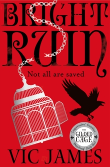 Image for Bright ruin