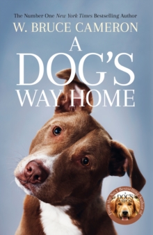 Image for A Dog's Way Home