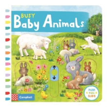 Image for Busy baby animals
