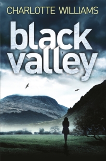 Image for Black Valley