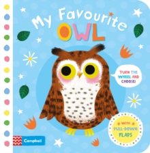 Image for My favourite owl