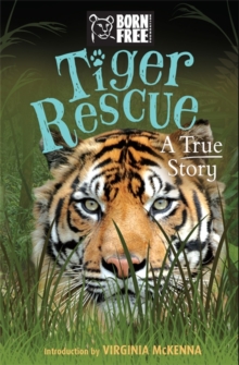 Image for Tiger rescue  : a true story