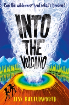 Image for Into the Volcano