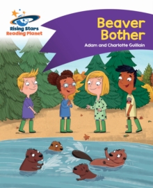Image for Beaver bother