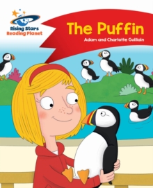 Image for The puffin