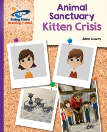 Image for Kitten crisis