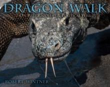 Image for Dragon Walk: On Reef Recovery & Political Will