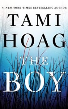 Image for The boy