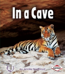 Image for In a Cave
