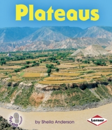 Image for Plateaus