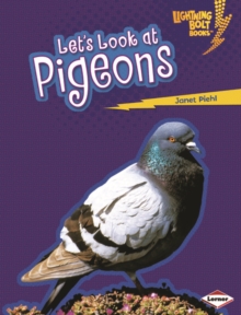 Image for Let's Look at Pigeons