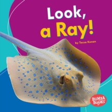 Image for Look, a ray!