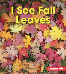 Image for I See Fall Leaves