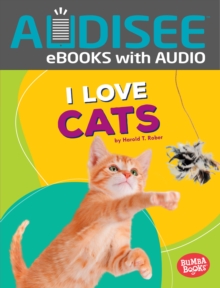 Image for I Love Cats
